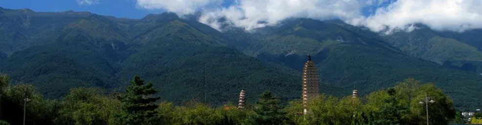 image_haut