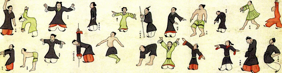 image_haut